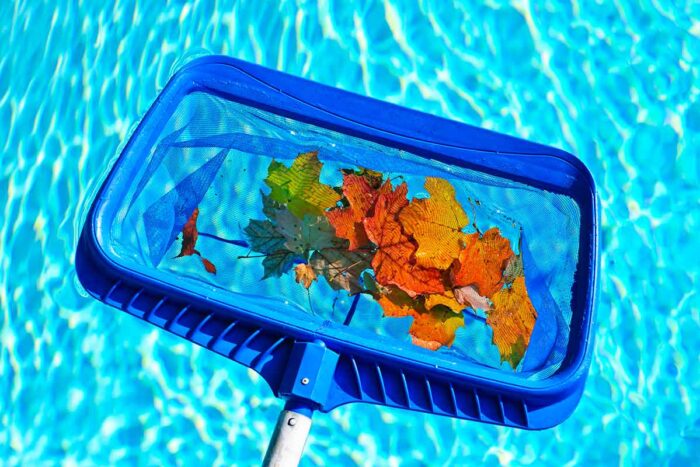 pool net with fall leaves